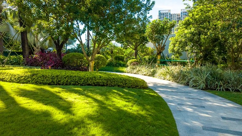 Modern Residential Garden